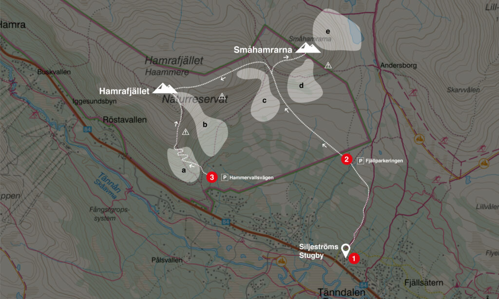 Toppturer Hamrafjället